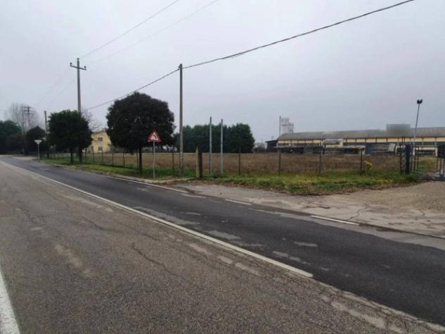 Immobile in asta di 5486 m² in vendita a San Pietro di Morubio - Foto 3