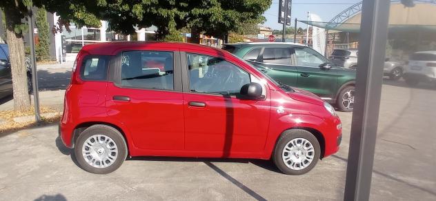 FIAT Panda 1.0 FireFly 70cv S&S Hybrid - Foto 3