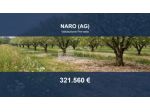 Immobile in asta di 155371 m² in vendita a Naro