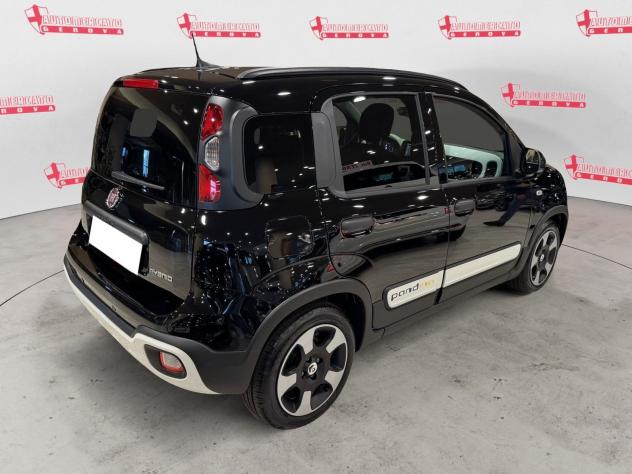 FIAT Panda Panda 1.0 S&S Hybrid Pandina Cross VARI COLORI - Foto 3