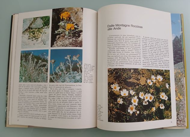 FLORA ALPINA Istituto Geografico De Agostini 1973 - Foto 5