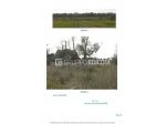 Terreno in vendita a Collepasso - Rif. 4548053