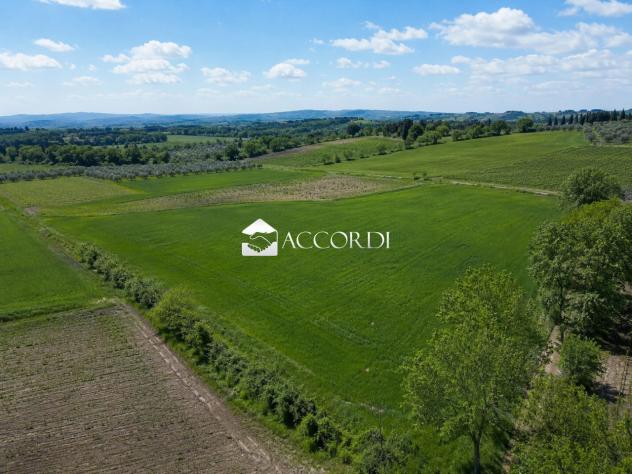 RIF.LLE6 - TERRENO AGRICOLO DI UN ETTARO PIANEGGIANTE ESTE - Foto 3