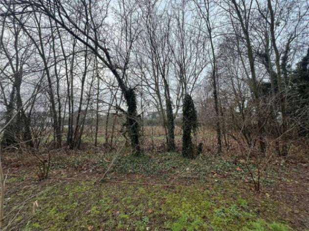 Immobile in asta di 3033 m² in vendita a Sanza - Foto 3