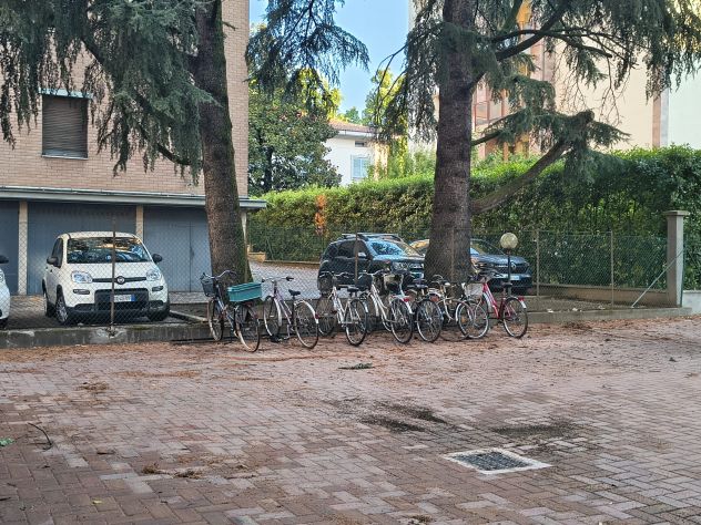 TRILOCALE PER STUDENTI ZONA CITTADELLA - Foto 8