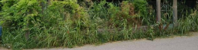 Immobile in asta di 197 m² con più di 5 locali e box auto in vendita a Legnago - Foto 3