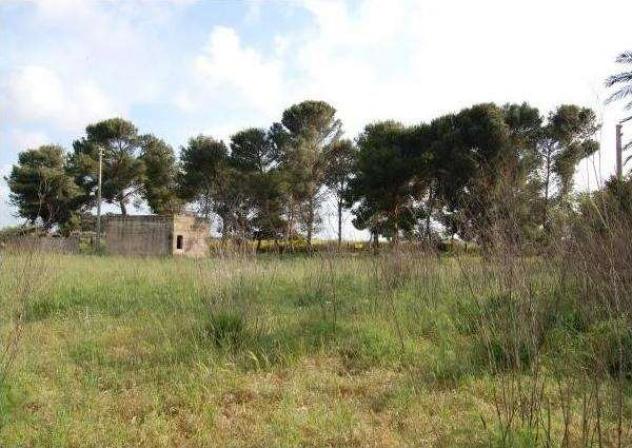 1819 - In vendita a Petrosino ampio terreno - Foto 4