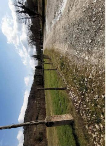 Immobile in asta di 5027 m² in vendita a Vicchio - Foto 2