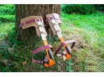Coppia di Ramponi da bosco foresta per arrampicata su albero