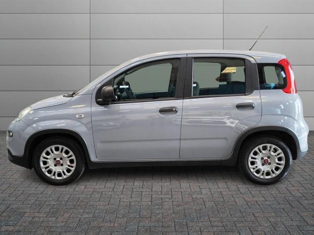 FIAT Panda III 2021 1.0 firefly hybrid s&s 70cv - Foto 2
