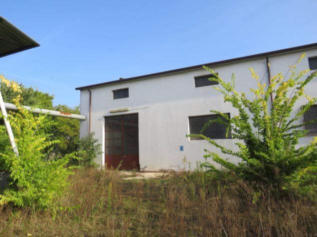 Immobile in asta di 855 m² con più di 5 locali in vendita a Cerea - Foto 8