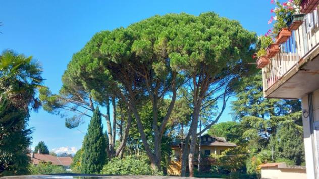 Appartamento di 87 m² con 3 locali in vendita a Varese - Foto 9