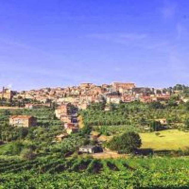 Agriturismo La Pietriccia - Foto 3