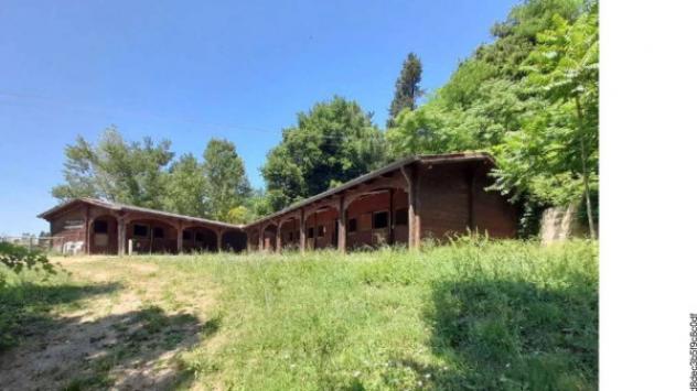 Immobile in asta di 188615 m² in vendita a Castelnuovo Berardenga - Foto 7