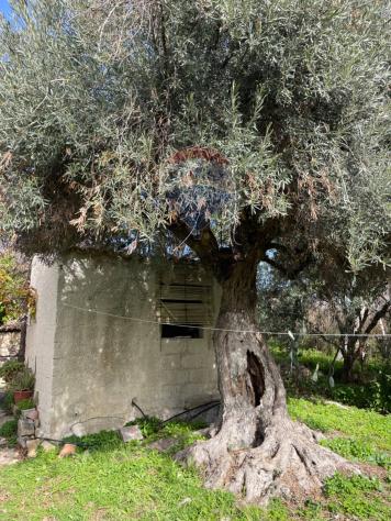 Villa o villino in vendita a Scicli, Donnalucata - Foto 11
