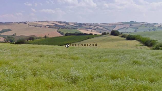 San costanzo proponiamo in vendita azienda agricola di circa 18 ettari. il terreno gode di un'ottima esposizione ed è facilmente raggiungibile dalle p - Foto 6
