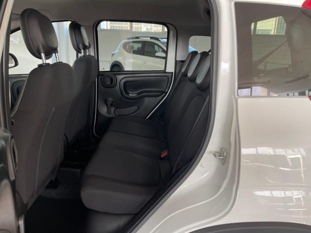 FIAT Panda Panda 1.0 firefly hybrid s&s 70cv 5p.ti - Foto 10