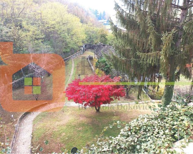 V000503 - VILLA CON PARCO E TERRENI - Foto 12