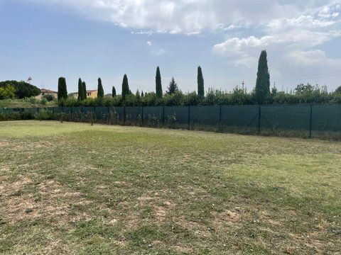 Vendesi terreno agricolo - Foto 7