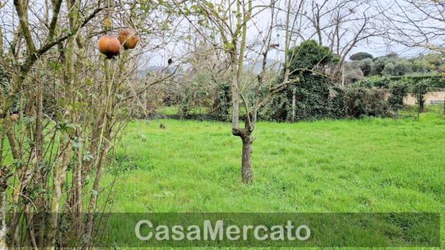 Agricolo in vendita a Rocca di Papa - Foto 8