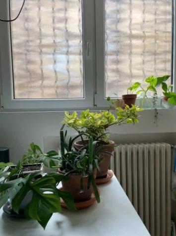Appartamento di 60 m² con 3 locali in affitto a Milano - Foto 13
