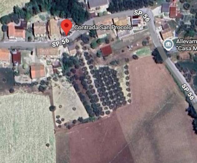 Immobile in asta di 81 m² in vendita a Monte Vidon Combatte - Foto 3