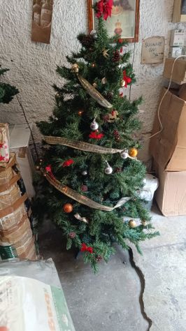 Alberi di Natale – 25268 - Foto 2