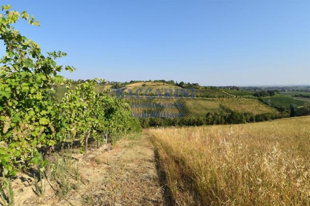 PROPRIETA' BRISIGHELLA - VIA LODOLONE 29 - Foto 14