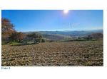 IMMOBILI-ALTRA CATEGORIA-Strada di Paglialonga, 60020 Agugliano AN, Italia