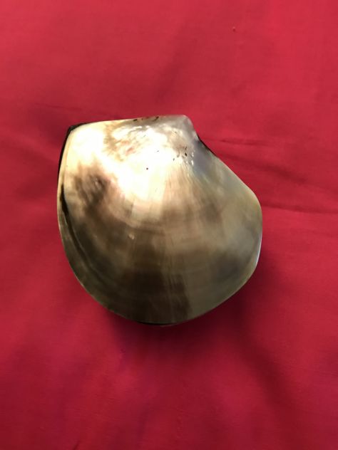 Contenitore madreperla originale - Foto 4