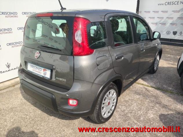 FIAT Panda 1.0 FireFly S&S Hybrid City Life - AZIENDALE rif. 23795806 - Foto 8