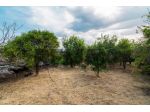 Terreno in vendita a Acireale