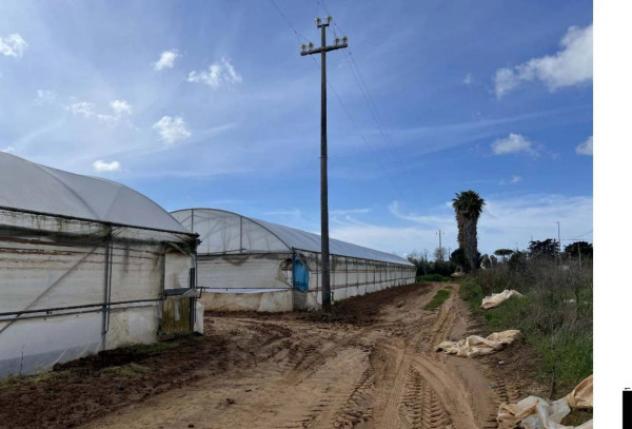 Immobile in asta di 33926 m² in vendita a Anzio - Foto 2