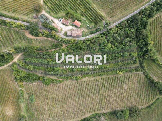 PODERE AGRICOLO DI CIRCA HA 31 OLTRE A CORTE CON CASA COLONICA E SERVIZI - Foto 16