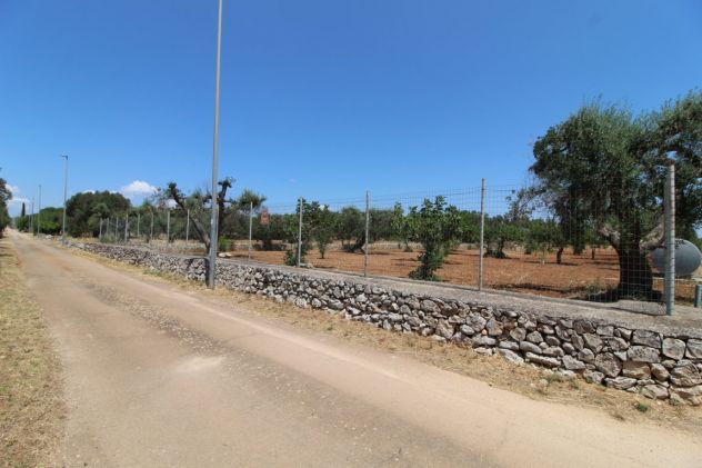 TERRENO AGRICOLO VIA DELLE ROSE GROTTAGLIE - Foto 3