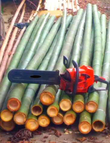 Canne di bambù bambu bamboo con diametro da 1 a 10 cm. - Foto 4