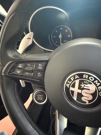 Alfa Romeo Stelvio 2.2 Turbodiesel 210 CV AT8 Q4 Veloce - Foto 9