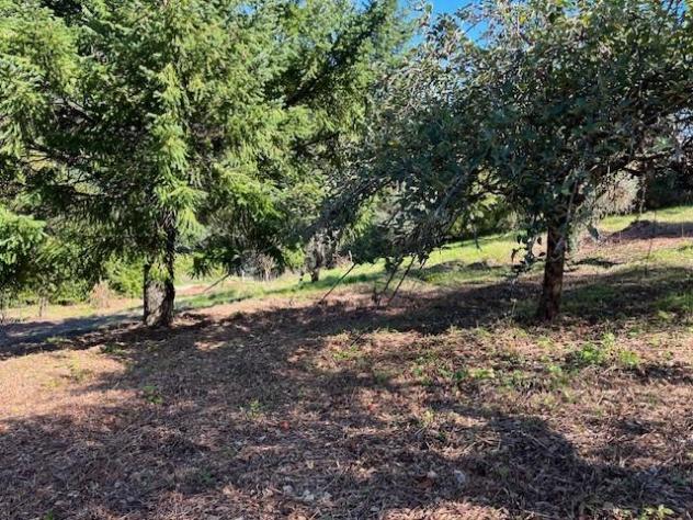 Casale in vendita a Pieve di Compito - Capannori 250 mq Rif: 1351983 - Foto 2