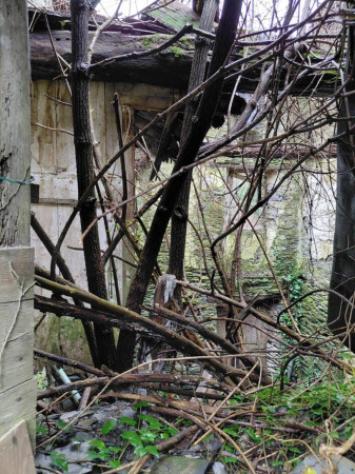 Immobile in asta di 149 m² in vendita a Tribogna - Foto 7