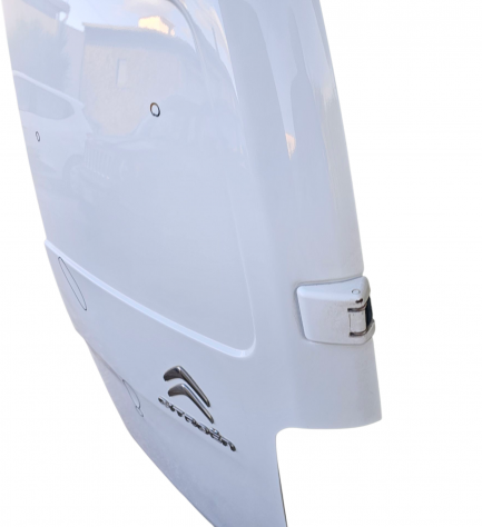 PORTA CARICO POSTERIORE A BATTENTE DX NON VETRATA CITROEN Jumpy Furgone 9811894980 (16) - Foto 14