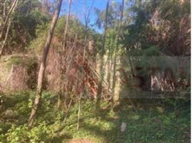 Immobile in asta di 39000 m² in vendita a Sant'Angelo in Vado - Foto 2