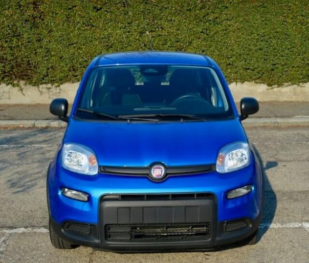 Fiat Panda 1.0 FireFly S&S Hybrid Pandina - Foto 2