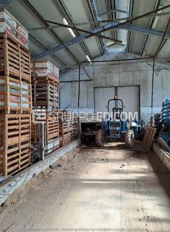 Fabbricati per attività agricole di 323 mq in vendita a Riese Pio X - Rif. 4554415 - Foto 4
