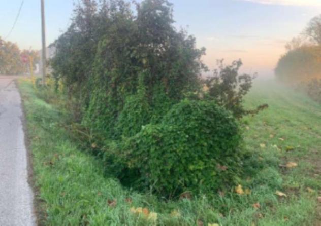 Immobile in asta di 17 m² in vendita a Suzzara - Foto 7