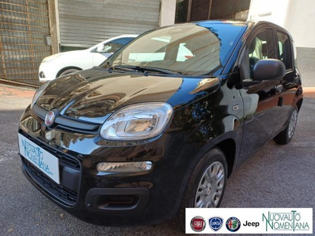 FIAT Panda Pandina 1.0 FireFly S&S Hybrid Icon 5°posto Km0 rif. 24003100 - Foto 2