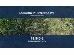 Immobile in asta di 10910 m² in vendita a Bassano in Teverina