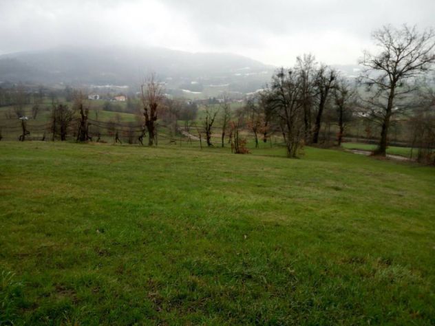 Allevamento Bovini da Latte - Parm. Reg. - Foto 8