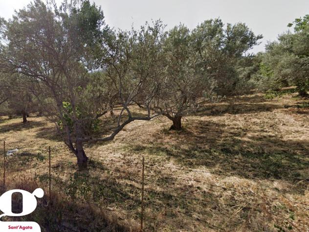 Terreno Residenziale - Acquedolci . Rif.: Cod. rif 3203785VRG - Foto 2