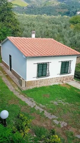 Viareggina in vendita a Calci 80 mq Rif: 1354944 - Foto 5