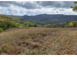 Azienda agricola in vendita a Roccalbegna 994 mq Rif: 1209418